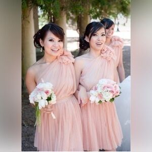 Women’s ASOS tulle blush in color one shoulder dress with adornment size 6